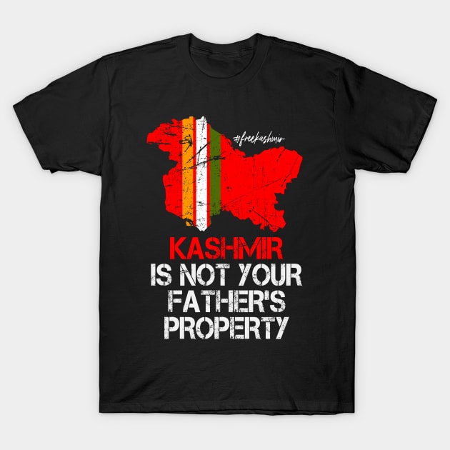 #freekashmir Give Kashmir To Kashmiri - I Stand With Kashmir T-Shirt by mangobanana